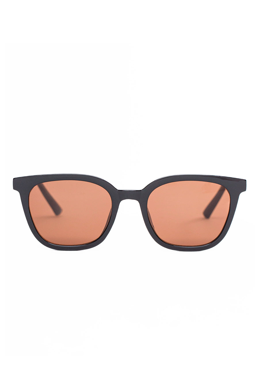 LENTES HONEY LOU NEGRO/CAFÉ