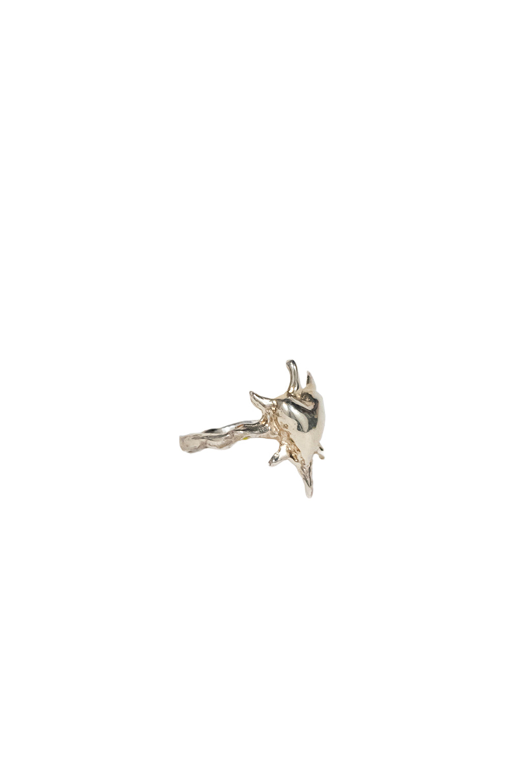 MIRACLES RING V2