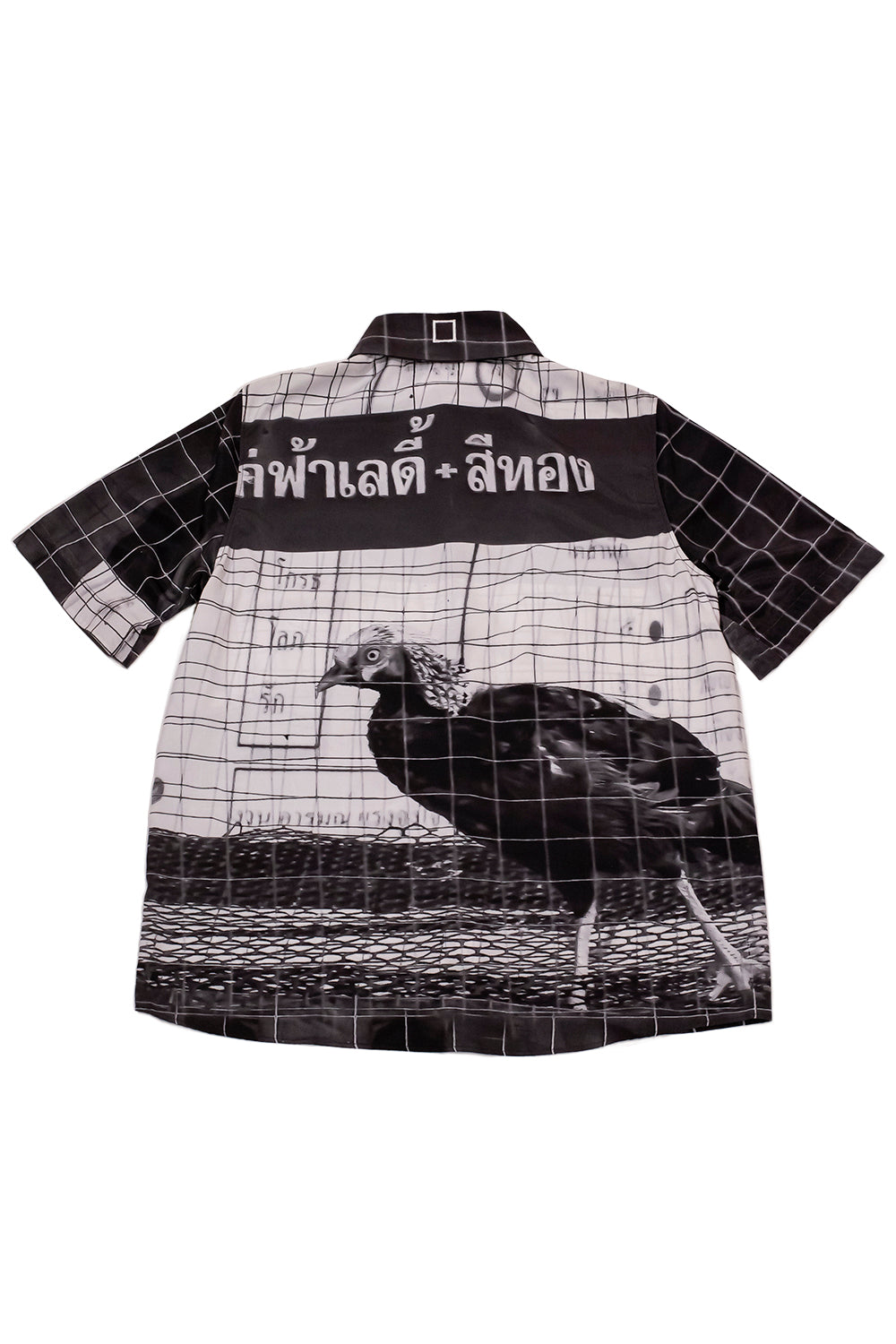CAMISA TAI FAISÁN